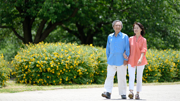公園で腕を組んで楽しそうに散歩する熟年夫婦